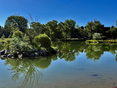 Mark Vansidener, Hayden Outdoors LLC, C:,,: One of the most - photo 31