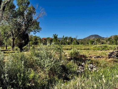 Mark Vansidener, Hayden Outdoors LLC, C:,,: One of the most - photo 32
