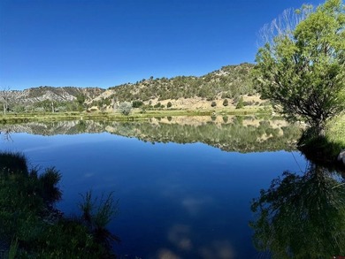 Mark Vansidener, Hayden Outdoors LLC, C:,,: One of the most - photo 37