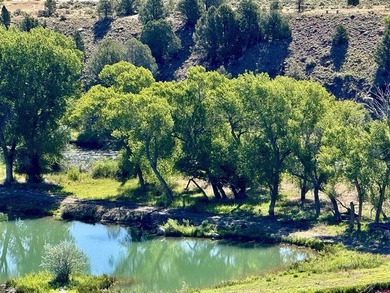 Mark Vansidener, Hayden Outdoors LLC, C:,,: One of the most - photo 40