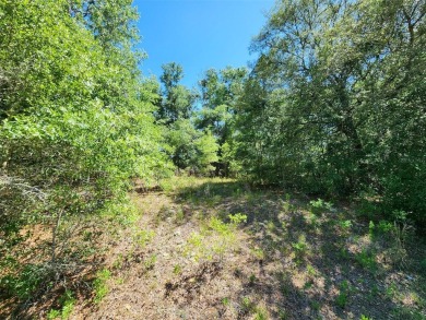 Lake Lot Sale Pending in Dunnellon, Florida