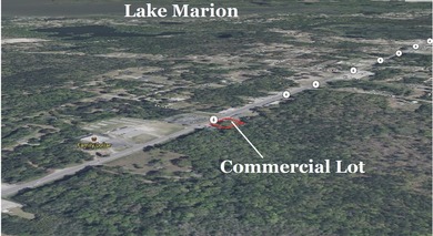 Lake Marion Lot For Sale in Eutawville South Carolina