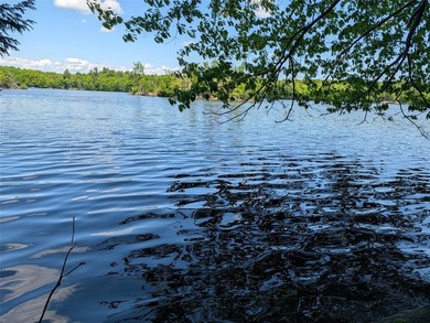 Otter Lake - Chippewa County Lot For Sale in Stanley Wisconsin