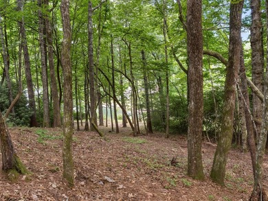 Exceptional 0.84 acre lakefront lot with approximately 86' of - photo 8