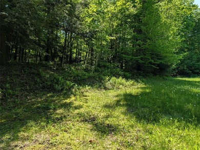 Welcome to your future property located at Otter Lake just north - photo 8