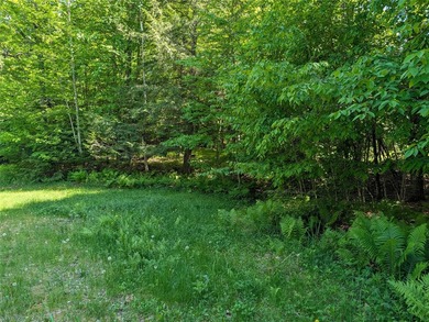 Welcome to your future property located at Otter Lake just north - photo 9
