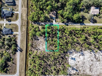 Lehigh Acres Area Lot For Sale in Lehigh Acres Florida