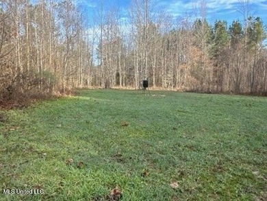 (private lake, pond, creek) Acreage For Sale in Canton Mississippi