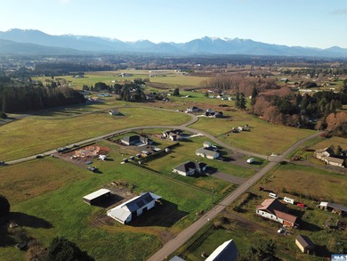 Prime 1 acre building lot with Olympic Mountain View and paved - photo 14