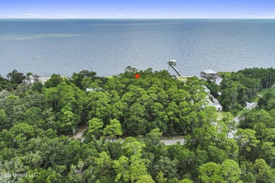 Create your own little slice of paradise on Belle Fontaine - photo 18
