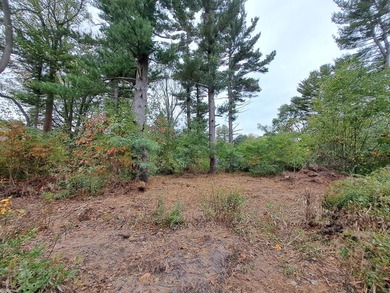 Just off 77th St, this 1.04-acre level sandy buildable lot - photo 9