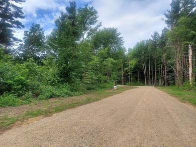 Just off 77th St, this 1.04-acre level sandy buildable lot - photo 10