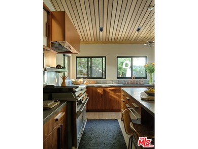 Gorgeously reimagined inside and out, this Point Dume residence - photo 8
