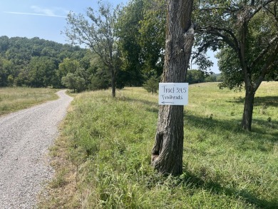 Lake Acreage Sale Pending in Squires, Missouri