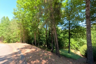 Nice building lot located in a Lake Keowee community. Gentle - photo 3