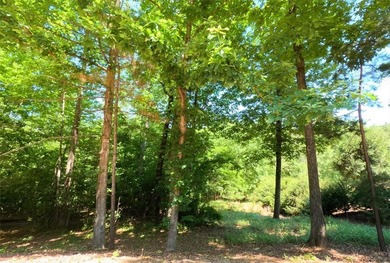 Nice building lot located in a Lake Keowee community. Gentle - photo 5