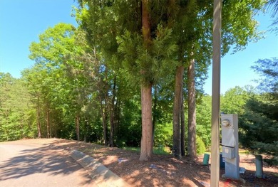 Nice building lot located in a Lake Keowee community. Gentle - photo 6