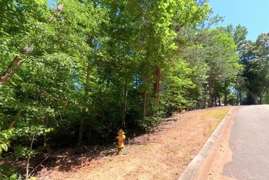 Nice building lot located in a Lake Keowee community. Gentle - photo 7