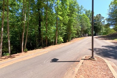 Nice building lot located in a Lake Keowee community. Gentle - photo 8