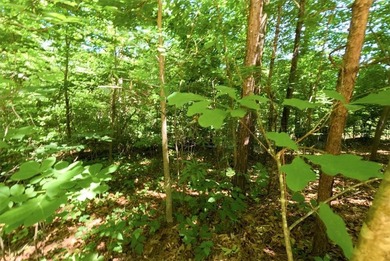 Nice building lot located in a Lake Keowee community. Gentle - photo 9