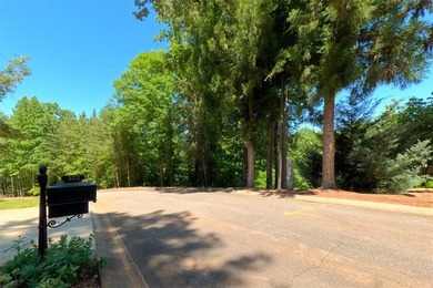 Nice building lot located in a Lake Keowee community. Gentle - photo 10