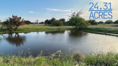 (private lake, pond, creek) Acreage For Sale in Goldthwaite Texas