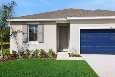 Lake Dora Home For Sale in Tavares Florida