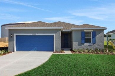 Lake Dora Home For Sale in Tavares Florida