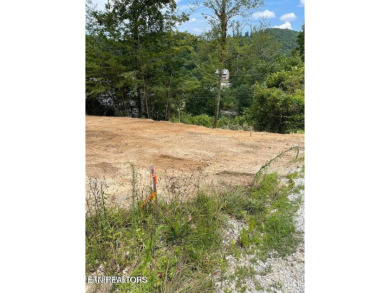Lake Lot For Sale in Caryville, Tennessee