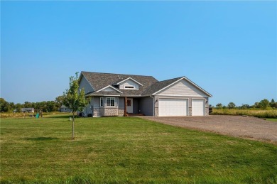 Lake Home For Sale in Chisago Lake Twp, Minnesota