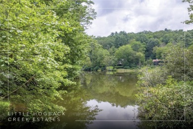 Lake Lot For Sale in Sapphire, North Carolina