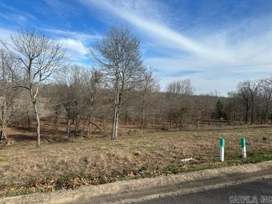 Arkansas River Lot For Sale in Mayflower Arkansas