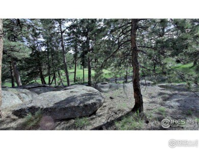 Red Feather Lake Lot For Sale in Red Feather Lakes Colorado