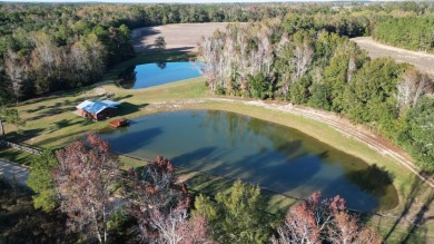 Lake Home For Sale in Graceville, Florida