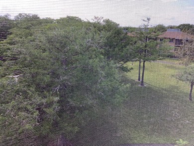 Spacious condo on PH 5th floor, corner unit., no neighbors above - photo 25