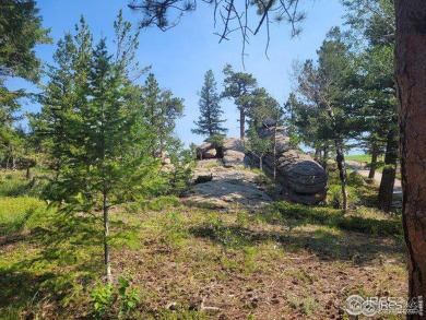 Red Feather Lake Lot For Sale in Red Feather Lakes Colorado