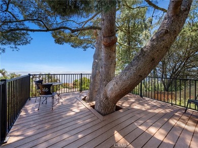 30645 Ganado Dr - photo 34