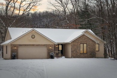 Lake Home For Sale in Pierson, Michigan