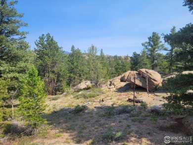 Red Feather Lake Lot For Sale in Red Feather Lakes Colorado