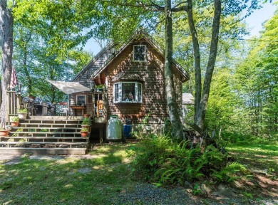 Lake Home For Sale in Hancock, New York