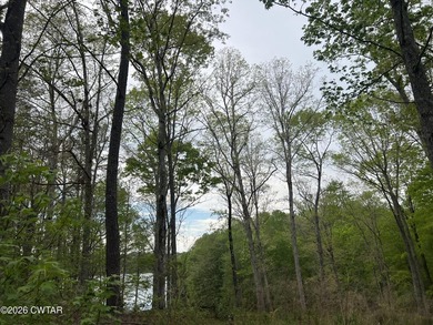 LAKEFRONT 2.2 acre lot in the gated Indian Lake Community. This - photo 3