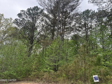 LAKEFRONT 2.2 acre lot in the gated Indian Lake Community. This - photo 5