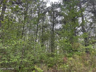 LAKEFRONT 2.2 acre lot in the gated Indian Lake Community. This - photo 6
