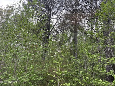 LAKEFRONT 2.2 acre lot in the gated Indian Lake Community. This - photo 7