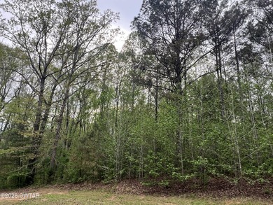 LAKEFRONT 2.2 acre lot in the gated Indian Lake Community. This - photo 8
