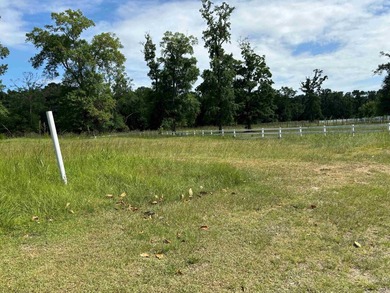 Welcome to The Exclusive, Gated Community of Double*C* Ranch !!! - photo 8