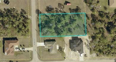 Lehigh Acres Area Lot Sale Pending in Lehigh Acres Florida