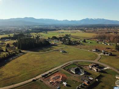 Prime 1 acre building lot with Olympic Mountain View and paved - photo 12