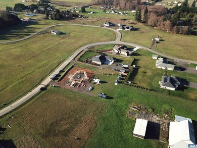 Prime 1 acre building lot with Olympic Mountain View and paved - photo 13