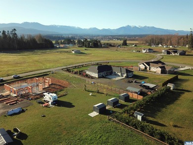 Prime 1 acre building lot with Olympic Mountain View and paved - photo 15